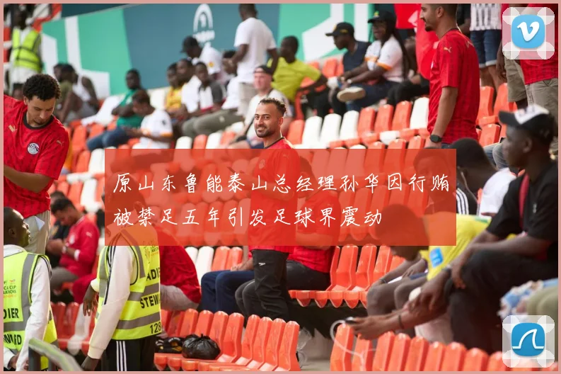 原山东鲁能泰山总经理孙华因行贿被禁足五年引发足球界震动